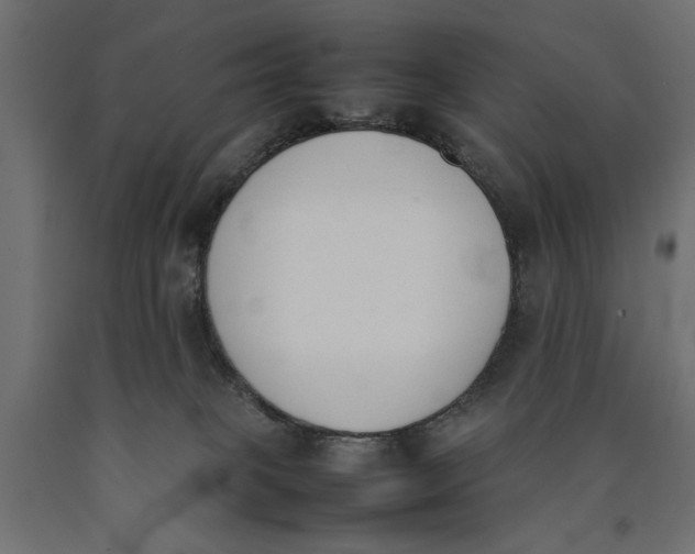 X0000090410085200708031052
