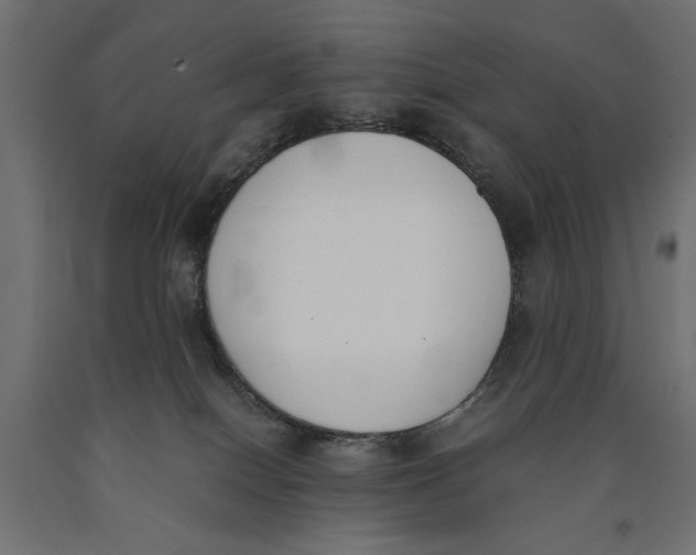 X0000090410086200708031052