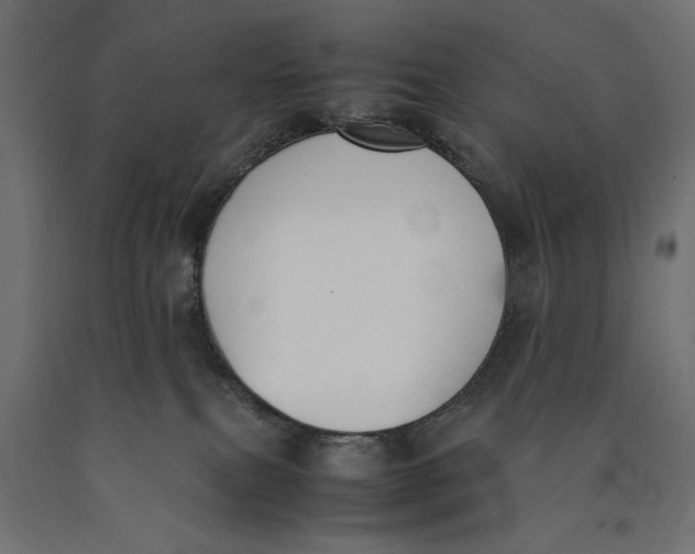 X0000090410087200708031052
