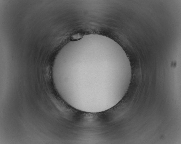 X0000090410088200708031052
