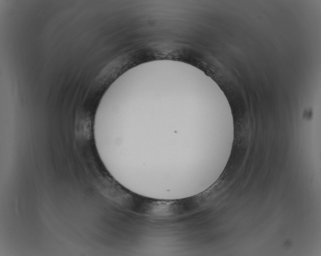 X0000090410090200708031052