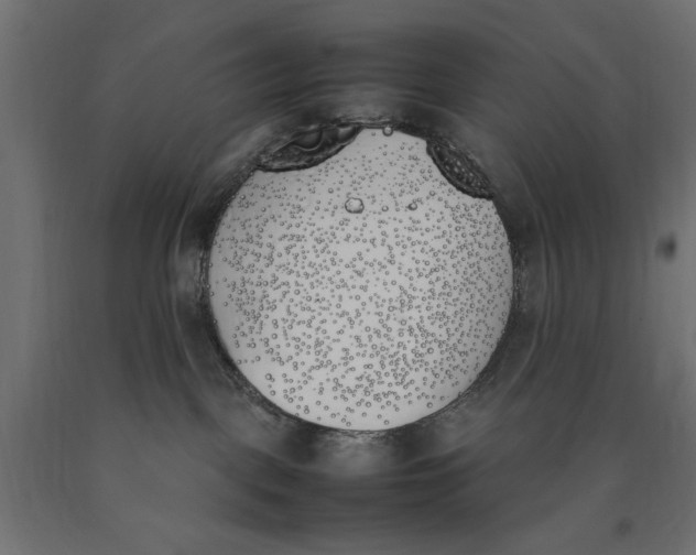 X0000090410093200708031052