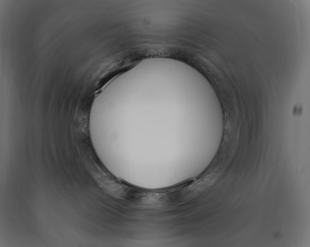 X0000090410096200708031052
