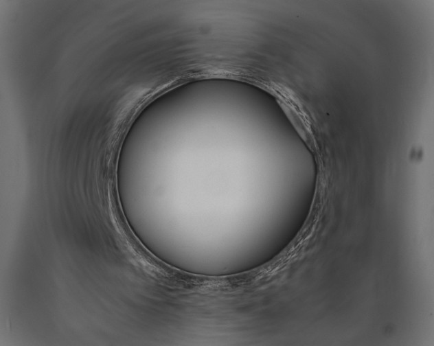 X0000090410097200708031052