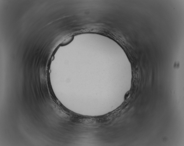 X0000090410100200708031052