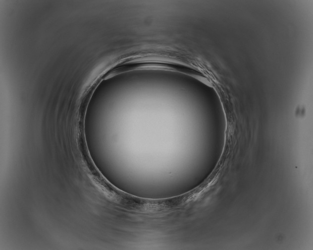 X0000090410101200708031052
