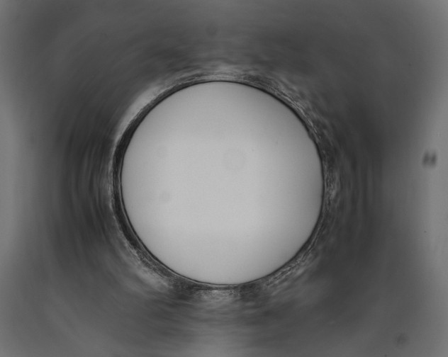 X0000090410102200708031052