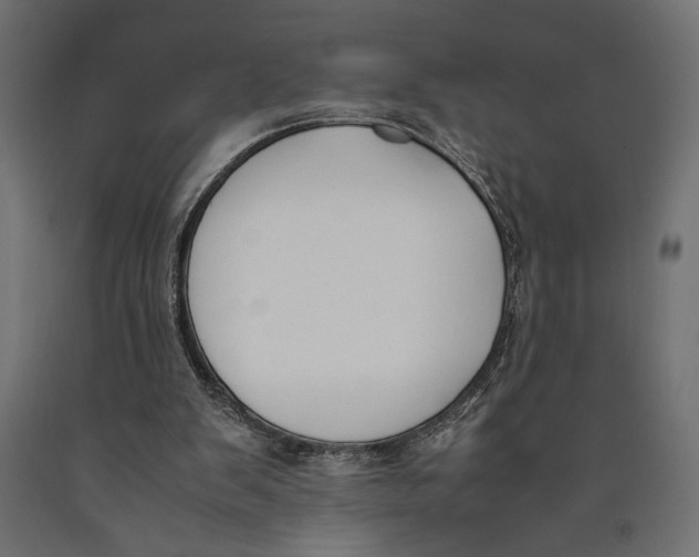 X0000090410103200708031052