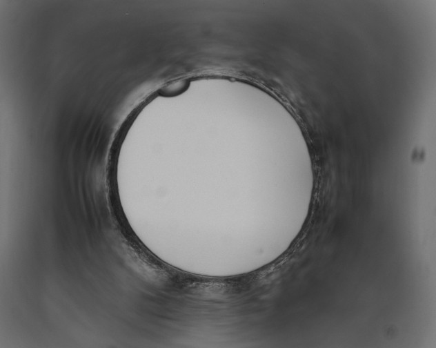 X0000090410104200708031051