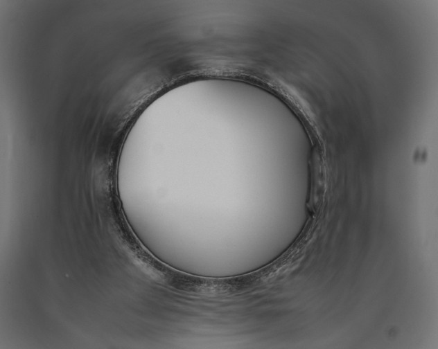 X0000090410105200708031051