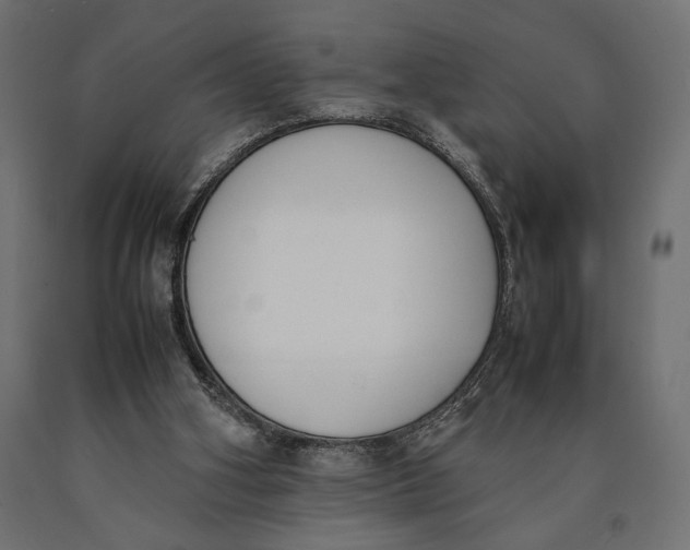 X0000090410106200708031051
