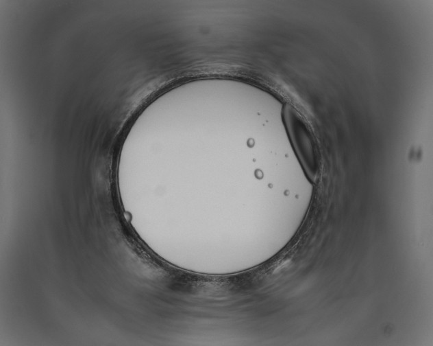 X0000090410107200708031051