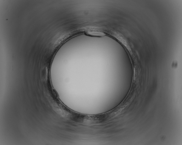 X0000090410109200708031051