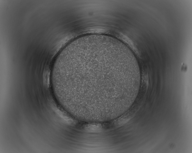 X0000090410110200708031051