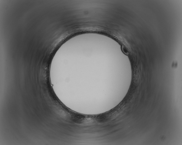 X0000090410111200708031051