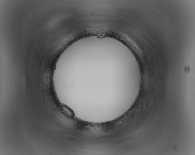 X0000090410113200708031051