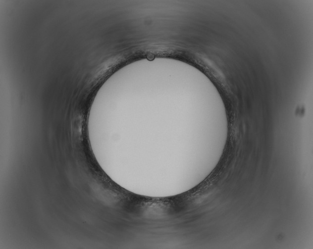 X0000090410115200708031051