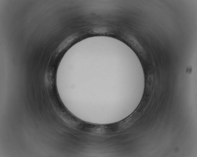 X0000090410116200708031051