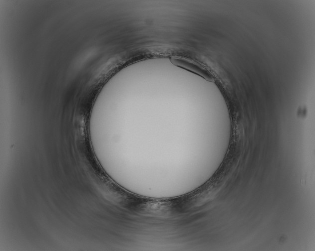 X0000090410117200708031051