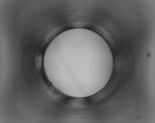 X0000090410118200708031051