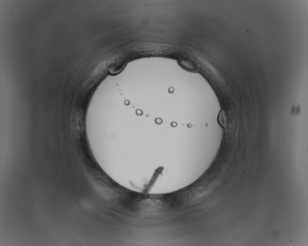 X0000090410119200708031051