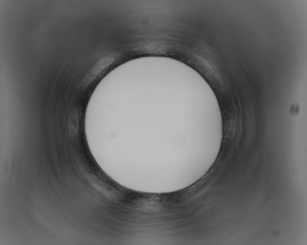X0000090410120200708031051
