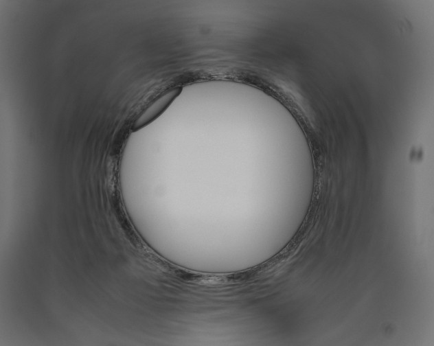 X0000090410121200708031051