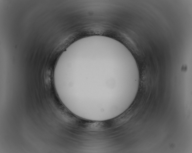 X0000090410122200708031051
