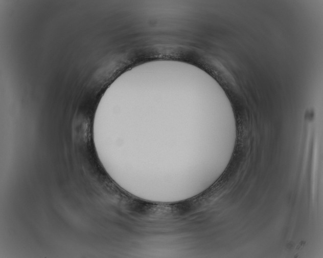 X0000090410123200708031051