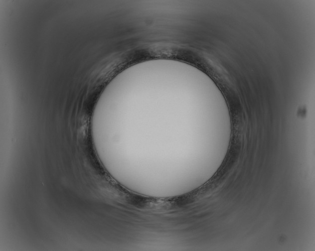 X0000090410125200708031051