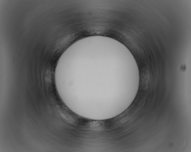 X0000090410126200708031051