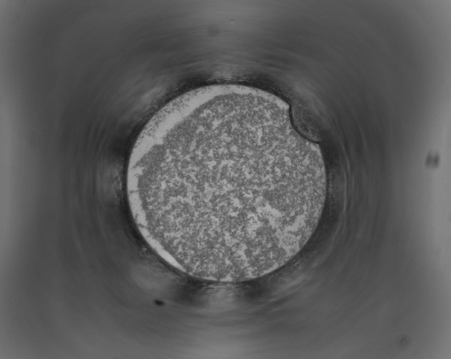 X0000090410127200708031051