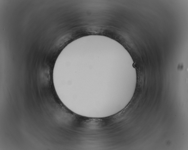 X0000090410128200708031051