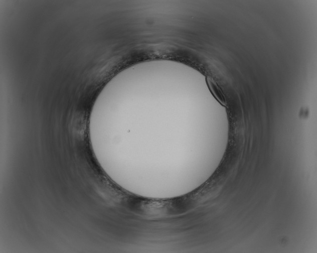 X0000090410129200708031051