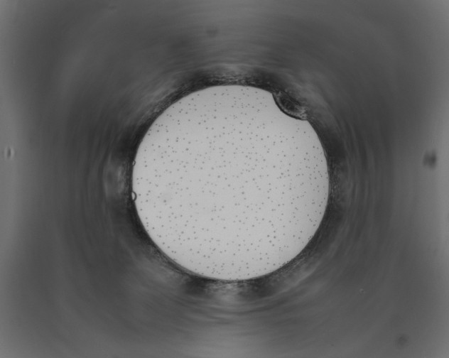 X0000090410131200708031051