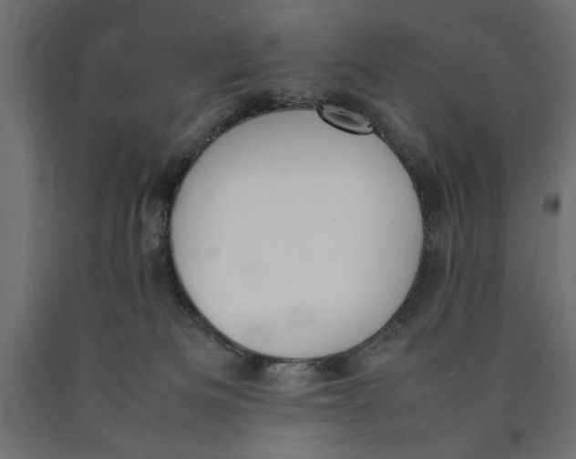 X0000090410133200708031051