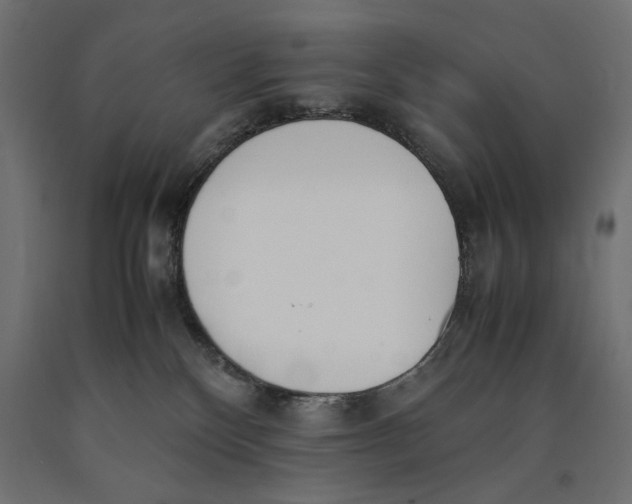 X0000090410136200708031051
