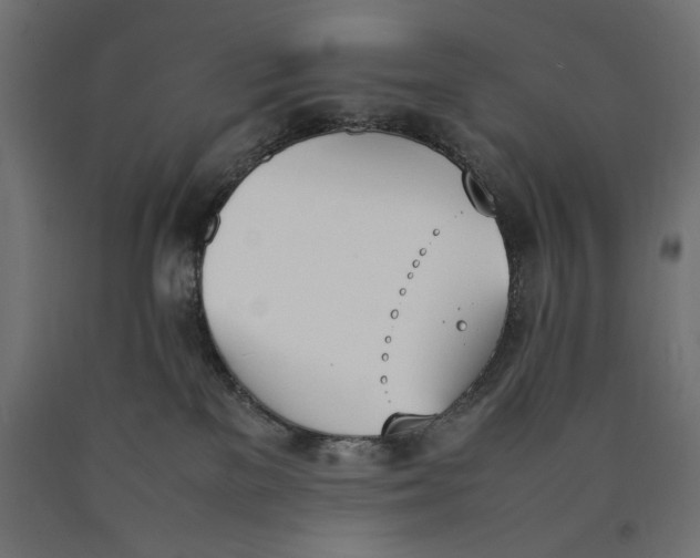X0000090410137200708031051