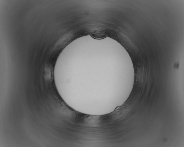 X0000090410138200708031051