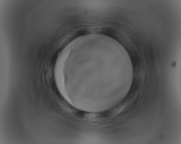 X0000090410139200708031051