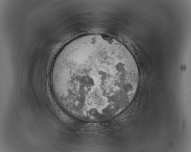X0000090410145200708031050