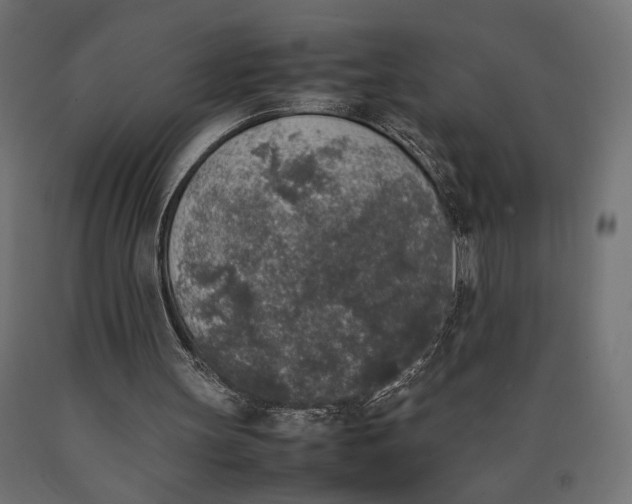 X0000090410147200708031050