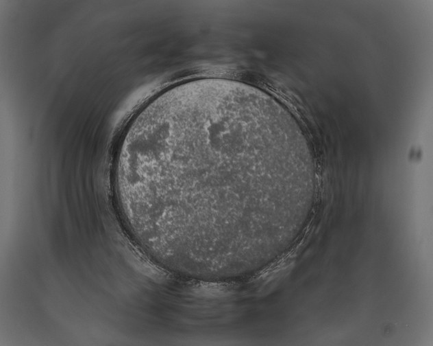 X0000090410149200708031050