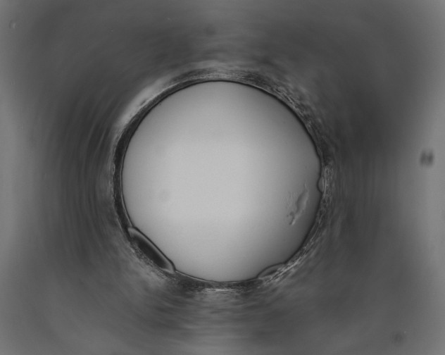 X0000090410150200708031050