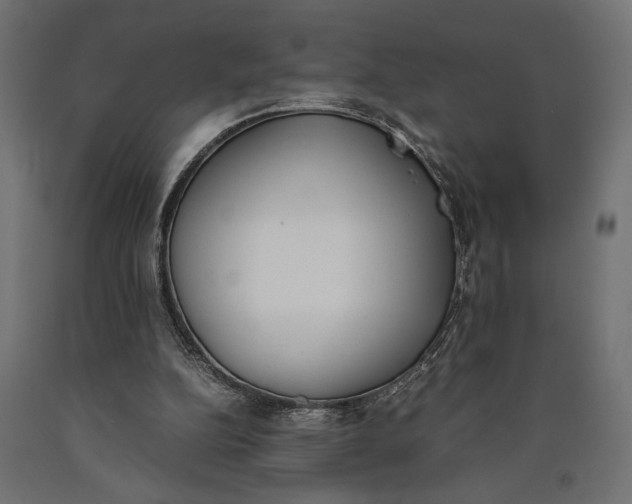X0000090410152200708031050