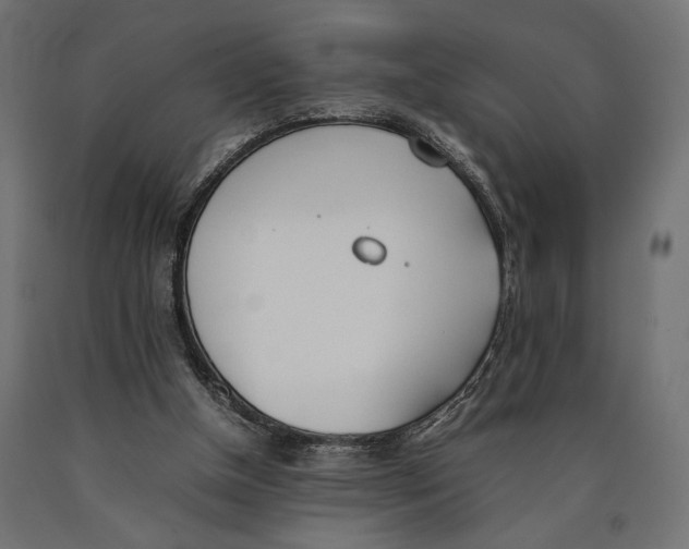 X0000090410154200708031050