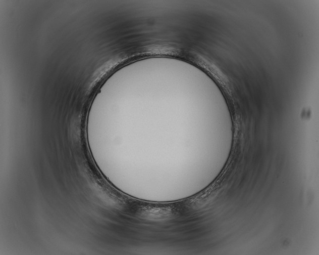 X0000090410155200708031050