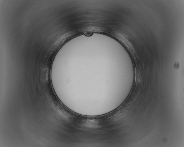 X0000090410157200708031050