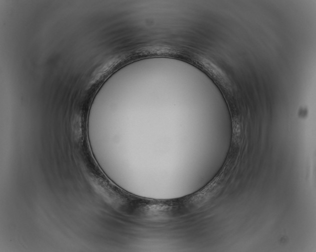 X0000090410158200708031050