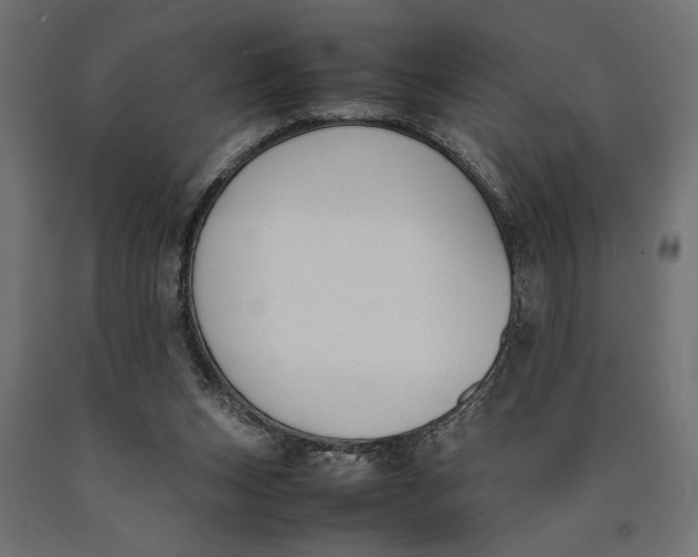 X0000090410159200708031050
